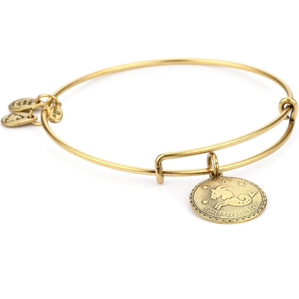 Alex and Ani Bangle Bar Zodiac Bangle Russian Gold Horoscope Capricorn Bracelet